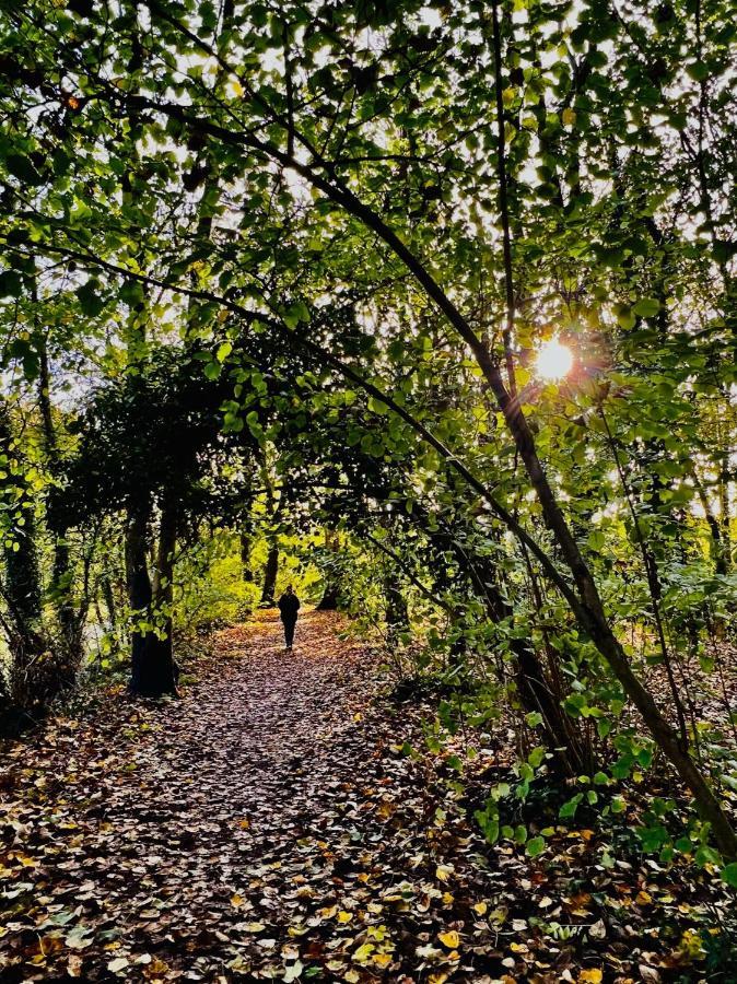 Dapps Hill Haven - Between Bristol And Bath, Both 9 Mins By Train! Keynsham Exteriér fotografie